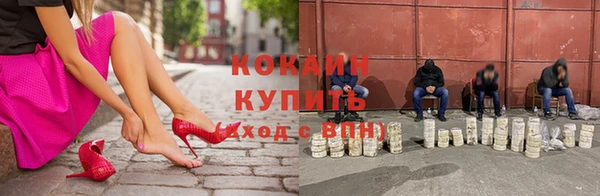 стафф Алзамай