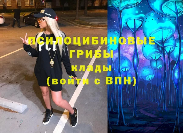 стафф Алзамай